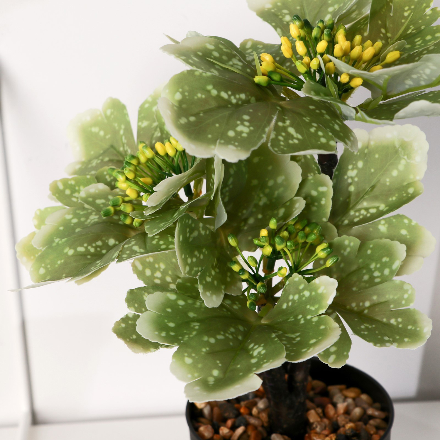 Бонсай в горшке "Вейгела" 10х23 см, микс   10084557