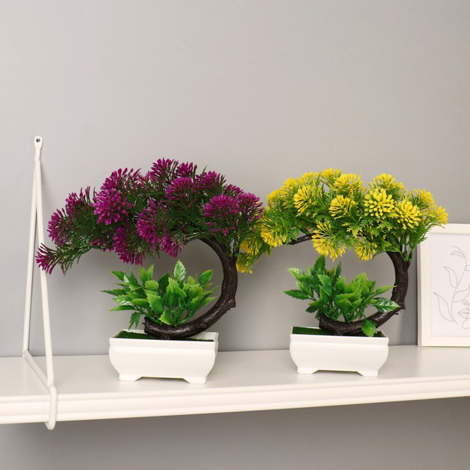 Бонсай "Селагинелла африканская" 10х20 см, микс 7081312