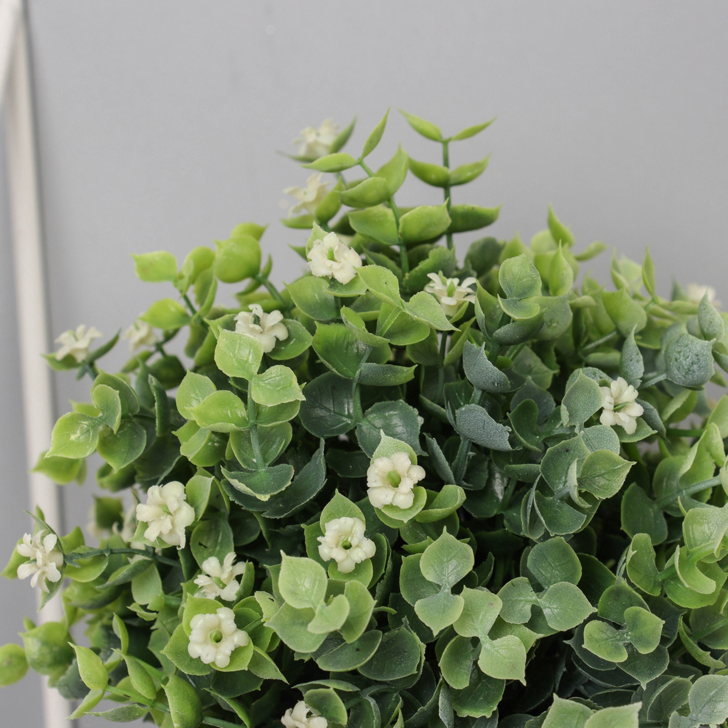 Бонсай в горшке "Фиалка мини с зеленью галант" 18х10 см, микс   10697875