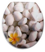 Сиденье для унитаза Delphinium Фантазия, 41х36х4 см, бежевый