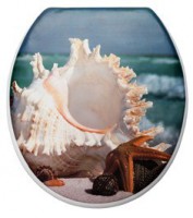 Сиденье для унитаза Delphinium Ракушки, 41х36х4 см, мульти