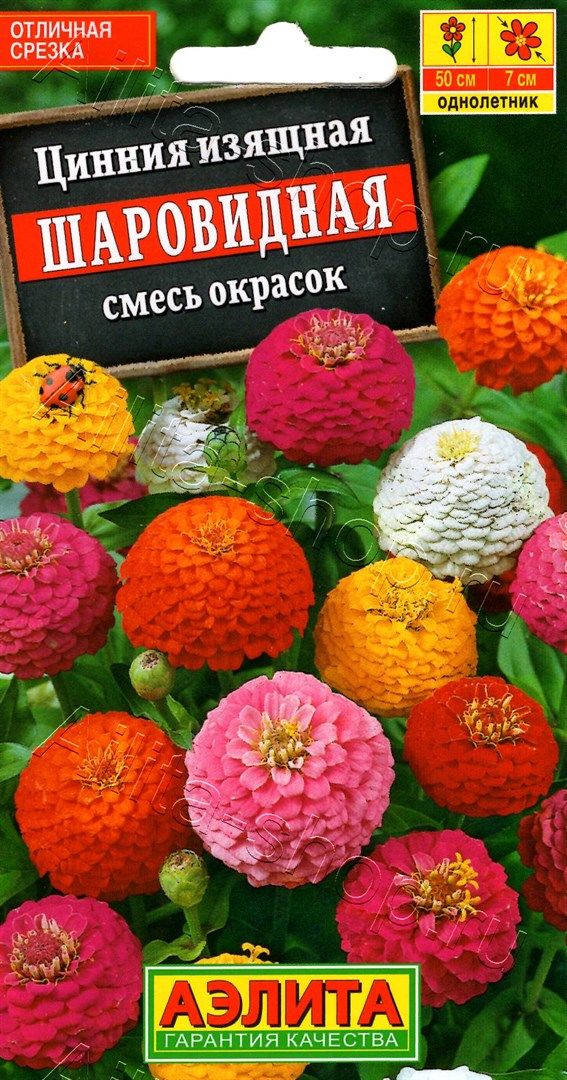 Семена Цинния Шаровидная смесь 0,5гр Аэлита цв *10/200 Семена Цинния Шаровидная смесь 0,5гр Аэлита цв *10/200
