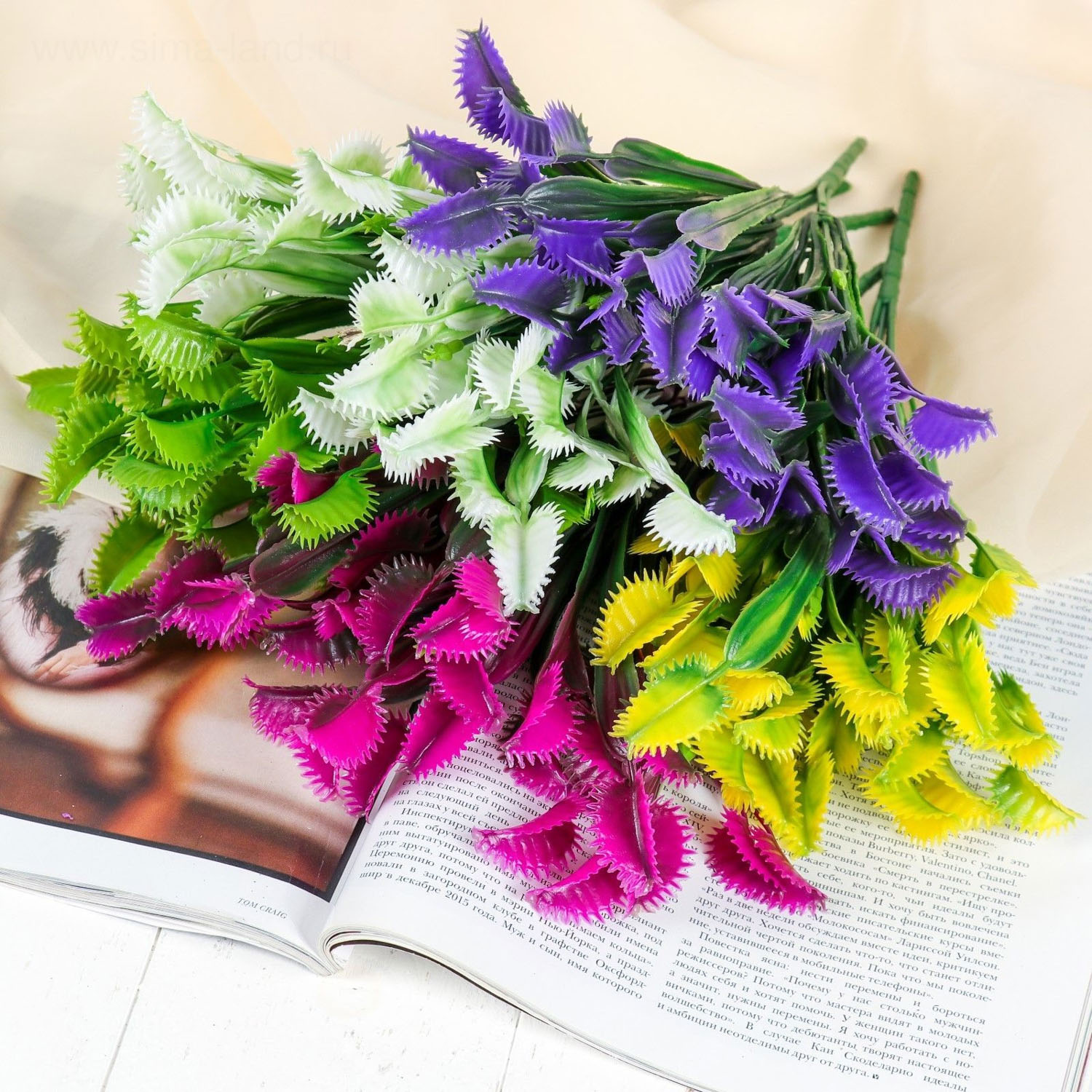 Букет "Дионея" 32 см, микс 3792260