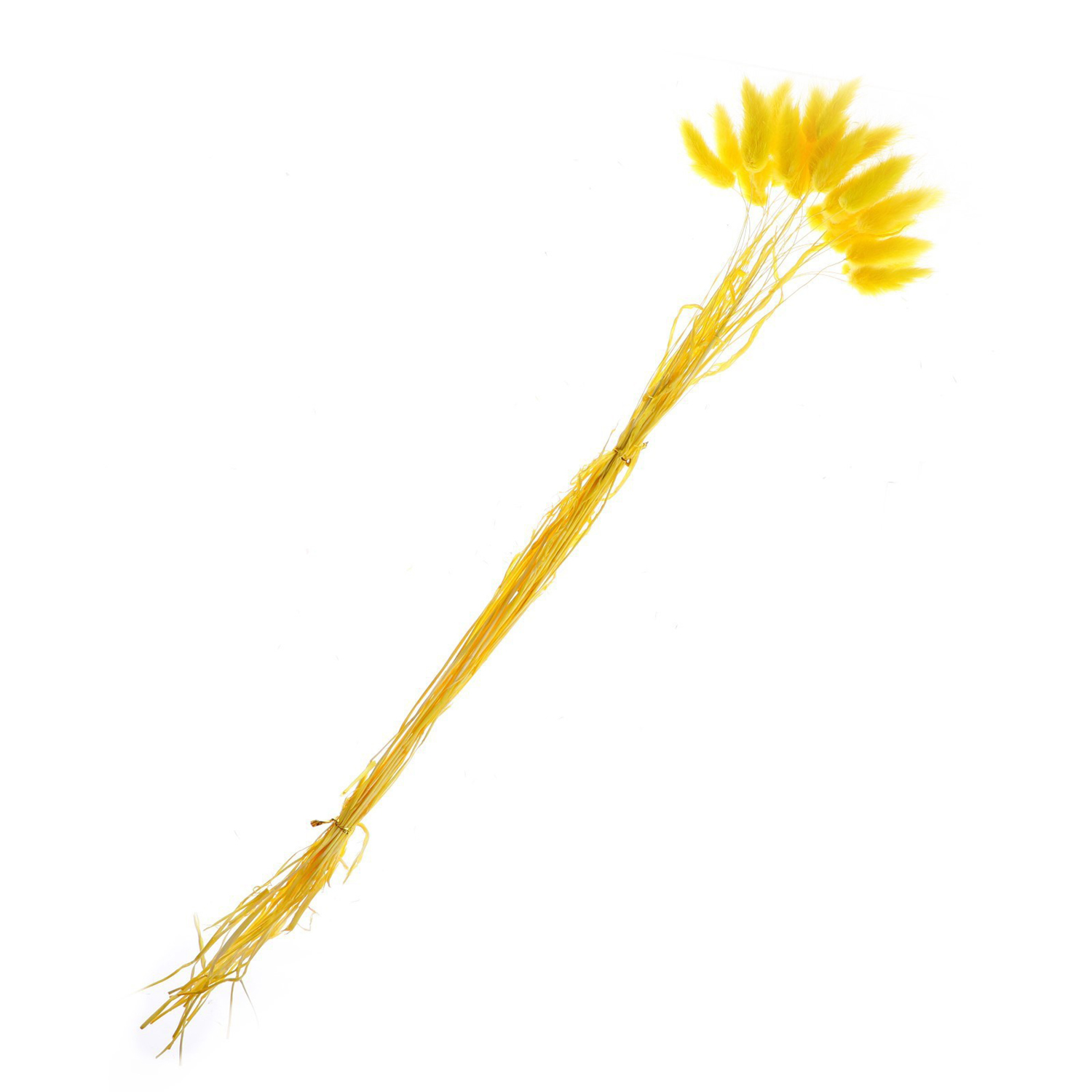 Сухоцвет «Лагурус», набор 30 шт., цвет жёлтый