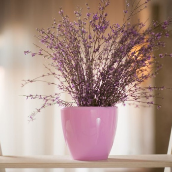 Кашпо пластм. "ДЕКО ТВИН" 1,5л Лаванда ДЕК 1,5 ЛАВ ("Santino") *1/36