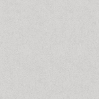 Обои флиз "AS Палитра" Аспект Бруно фон (сер.) 70621-42 1,06*10м *1/6