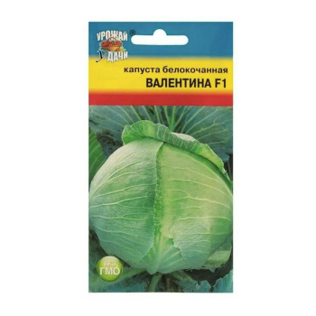 Капуста б/к Валентина F1 0,1гр/10