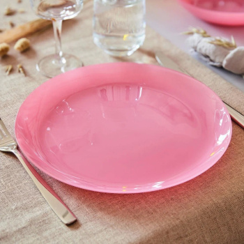 яяяN4151 Тарелка обеденная d=26см АРТИ БЛАШ (6/12)