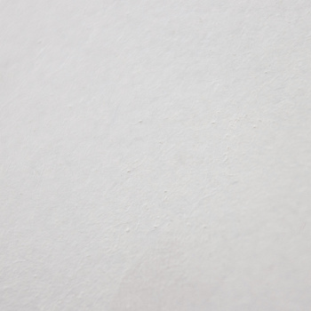 Дверь межкомнатная глухая грунтованная Белая 600 мм BROZEX-WOOD*1