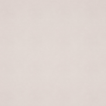 Обои флиз "Антураж" Puff фон AN8890-03 10*1,06м *6