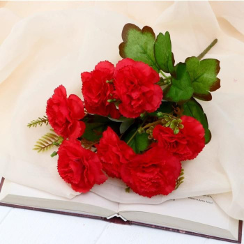 Букет "Гвоздика садовая" 28 см микс   5664382