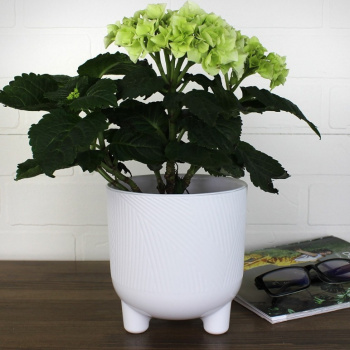 Кашпо пластм. "Фита" 1.45л d верха 130мм h140мм со вставкой Белый ФИ13-10 *1/15 Кашпо пластм. "Фита" 1.45л d верха 130мм h140мм со вставкой Белый ФИ13-10 *1/15