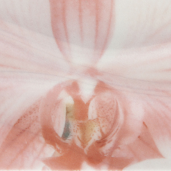 Бордюр Axima Орхидея, 60х400 мм, сортовой