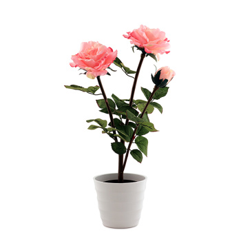 Светильник настольный декоративный Старт Роза розовый