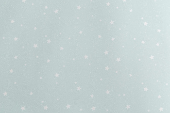 яяяОбои флиз "HomeColor" НС71536-17 1,06*10м *1/8