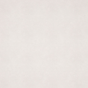 Обои флиз "Антураж" Puff фон AN8890-02 10*1,06м *6