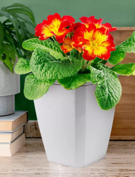 Кашпо пластм. "Лаунж" 2,4л 148x148мм h171мм со вставкой 1,6л Светло-серое С371СЕР ("Мартика") *1/12 Кашпо пластм. "Лаунж" 2,4л 148x148мм h171мм со вставкой 1,6л Светло-серое С371СЕР ("Мартика") *1/12