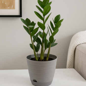 Кашпо пластм. "Бриз" 2,7л d верха 184мм h154мм с поддоном, прикорн.поливом Серый *1/10