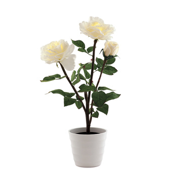 Светильник декоративный Старт LED Роза белый