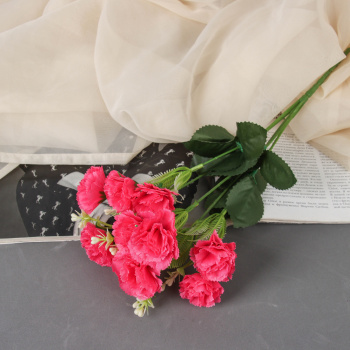 Букет "Гвоздика Айрис" 4х31 см, микс  9913386