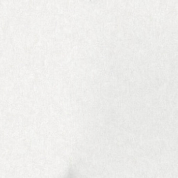 яяяОбои флиз  "WallSecret Comfort" 8880-10  10*1,06м *6