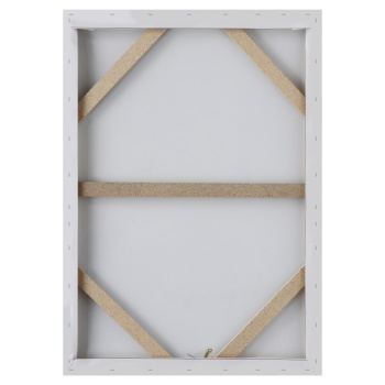 Картина-холст на подрамнике "Белый конь" 50х70 см 9035889